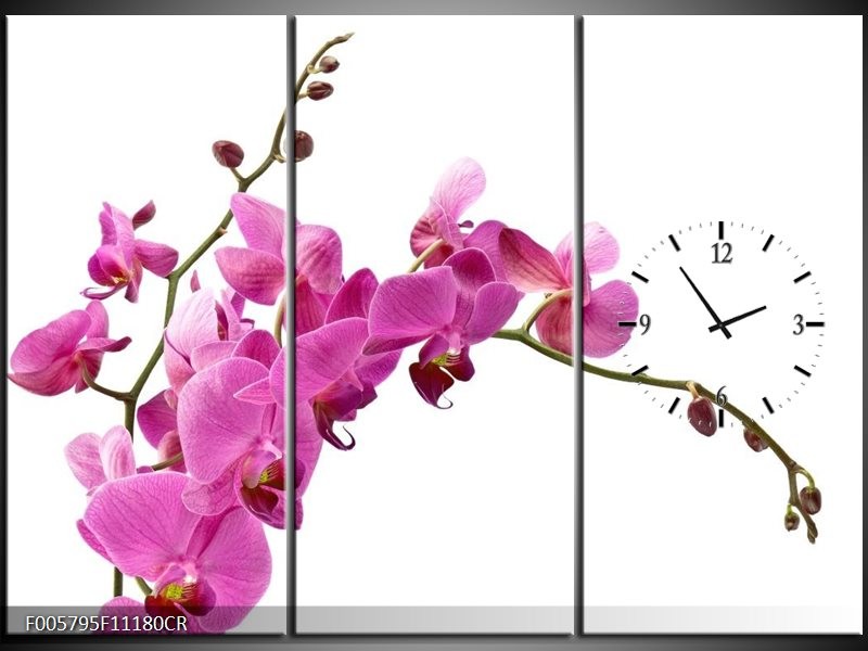 Klok schilderij Orchidee | Roze, Wit | 111x80cm 3Luik
