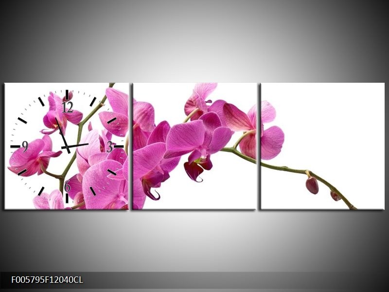 Klok schilderij Orchidee | Roze, Wit | 120x40cm 3Luik