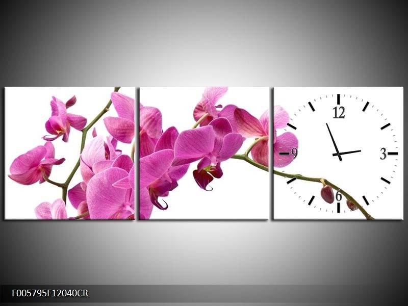 Klok schilderij Orchidee | Roze, Wit | 120x40cm 3Luik