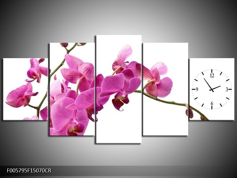 Klok schilderij Orchidee | Roze, Wit | 150x70cm 5Luik