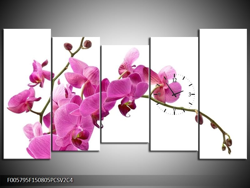 Klok schilderij Orchidee | Roze, Wit | 150x80cm 5Luik