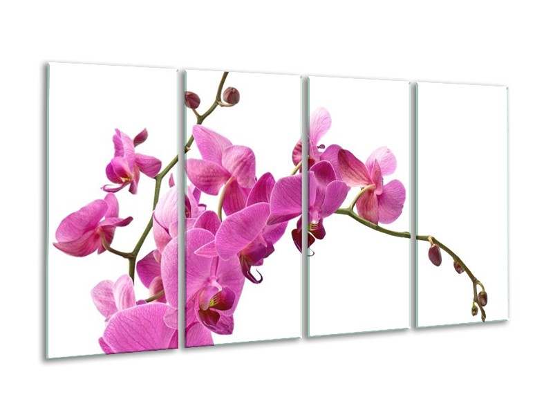 Canvas schilderij Orchidee | Roze, Wit | 160x80cm 4Luik