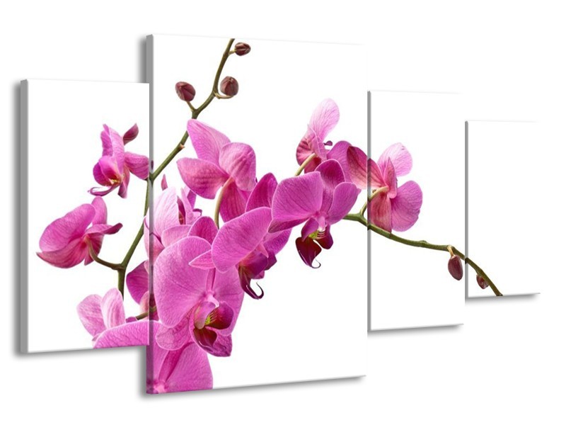 Canvas schilderij Orchidee | Roze, Wit | 160x90cm 4Luik