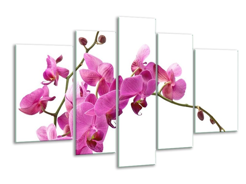 Canvas schilderij Orchidee | Roze, Wit | 170x100cm 5Luik