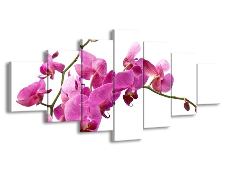 Canvas schilderij Orchidee | Roze, Wit | 210x100cm 7Luik