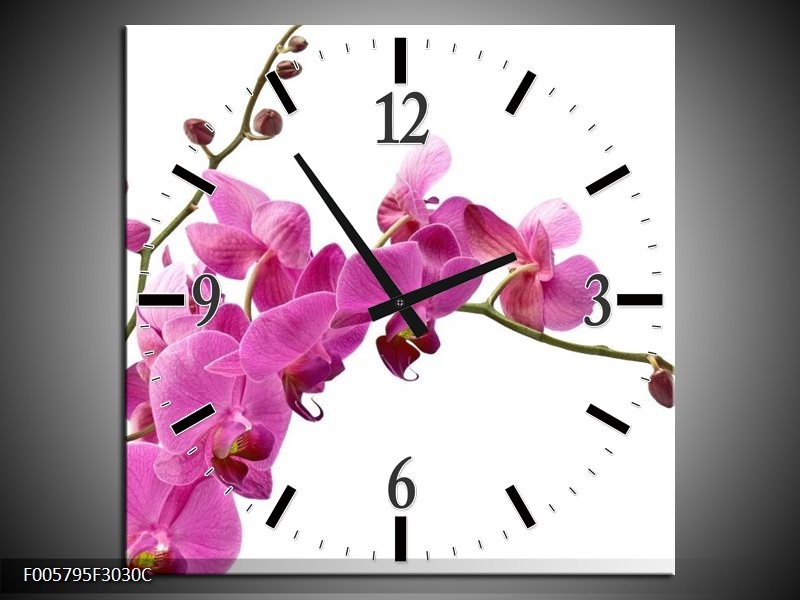 Klok schilderij Orchidee | Roze, Wit | 30x30cm 1Luik