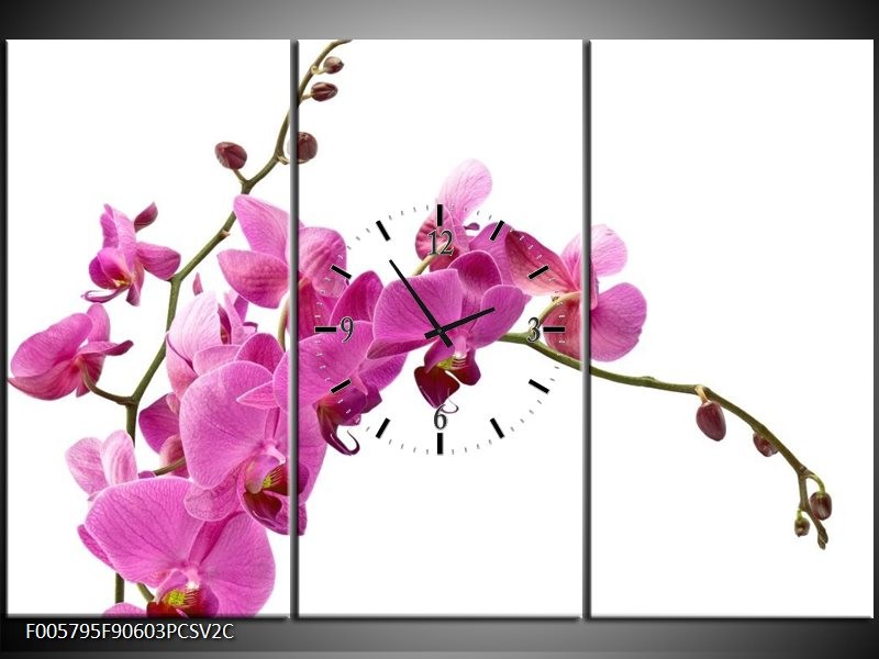 Klok schilderij Orchidee | Roze, Wit | 90x60cm 3Luik