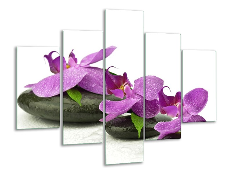 Glas schilderij Orchidee | Paars, Wit | 100x70cm 5Luik