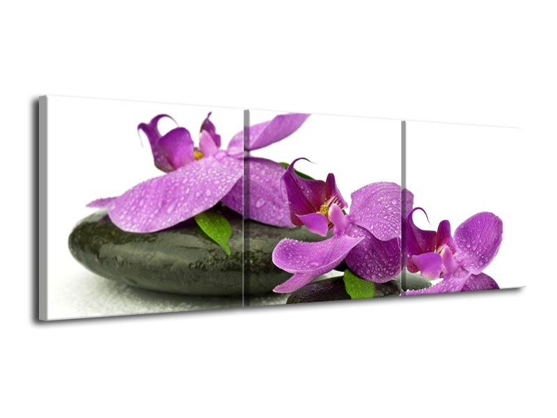 Glas schilderij Orchidee | Paars, Wit | 120x40cm 3Luik