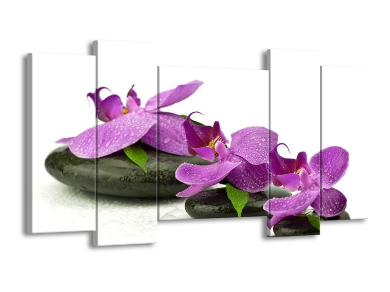 Canvas schilderij Orchidee | Paars, Wit | 120x65 5Luik