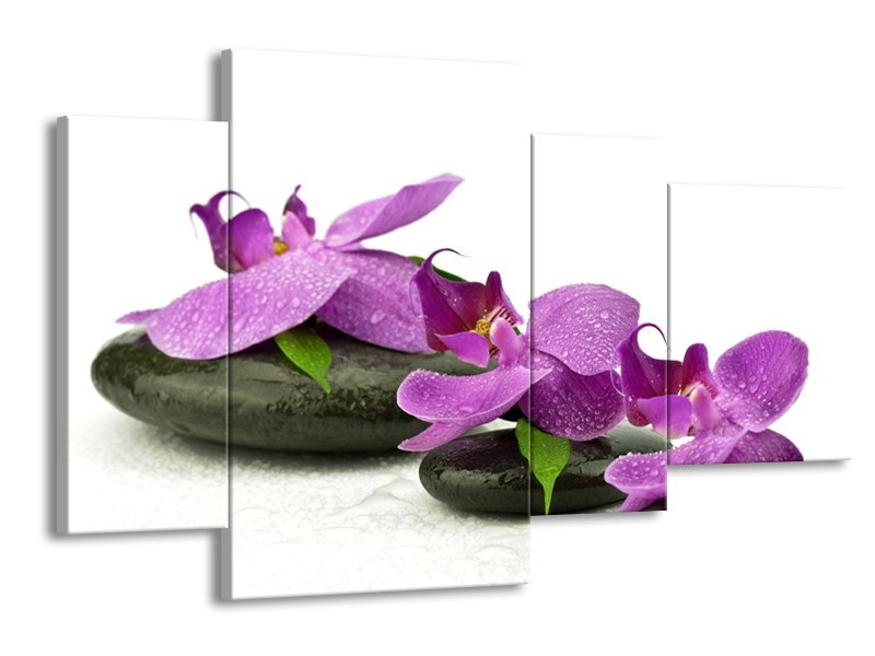 Canvas schilderij Orchidee | Paars, Wit | 120x75cm 4Luik