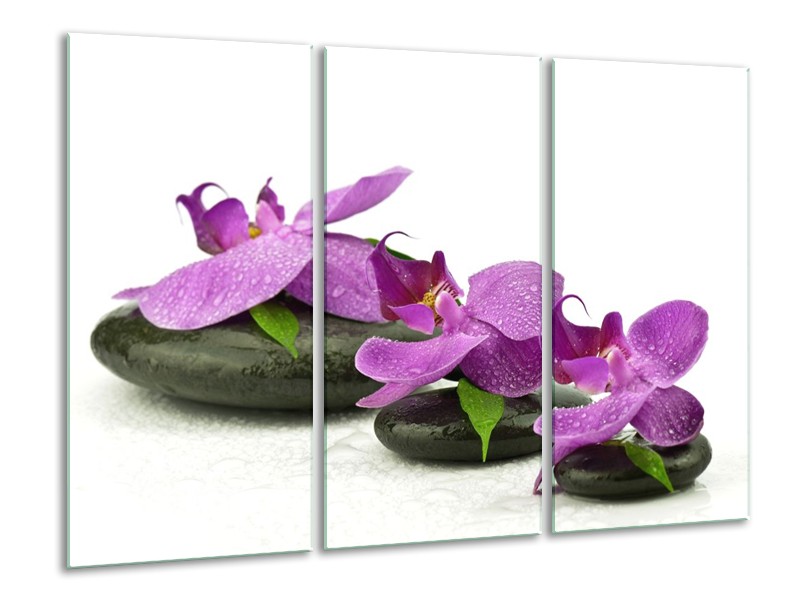 Canvas schilderij Orchidee | Paars, Wit | 120x80cm 3Luik