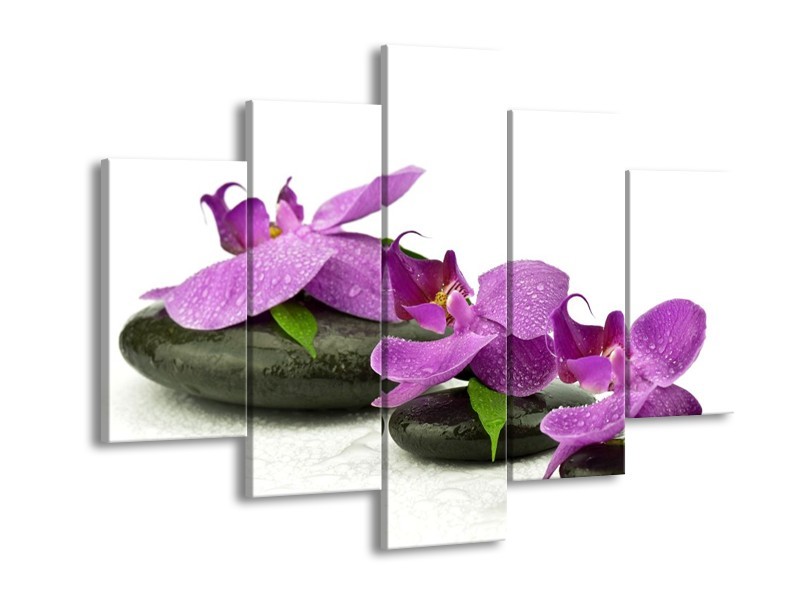 Canvas schilderij Orchidee | Paars, Wit | 150x105cm 5Luik