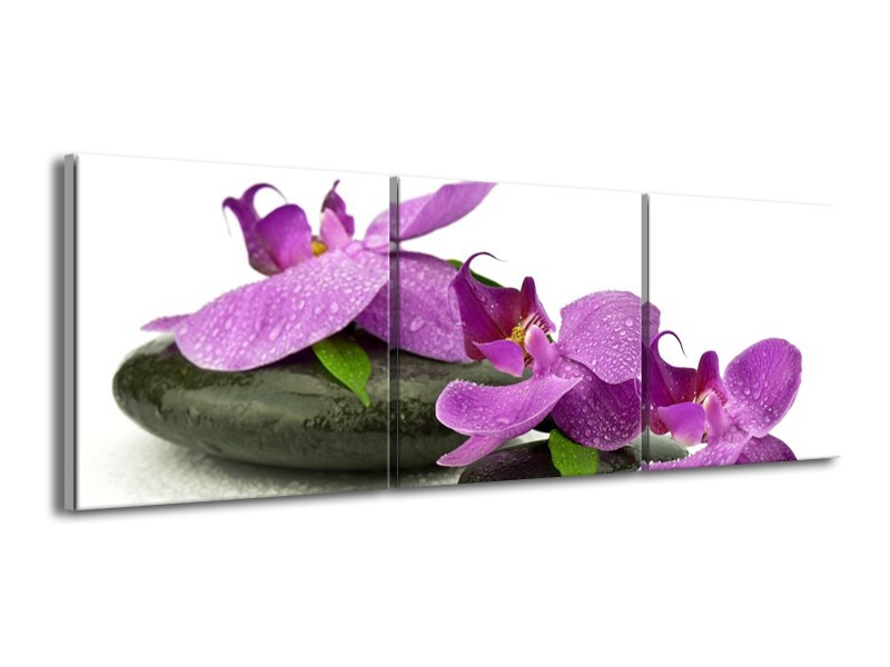Canvas schilderij Orchidee | Paars, Wit | 150x50cm 3Luik