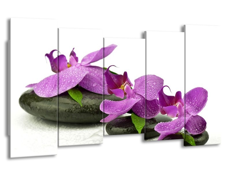 Glas schilderij Orchidee | Paars, Wit | 150x80cm 5Luik