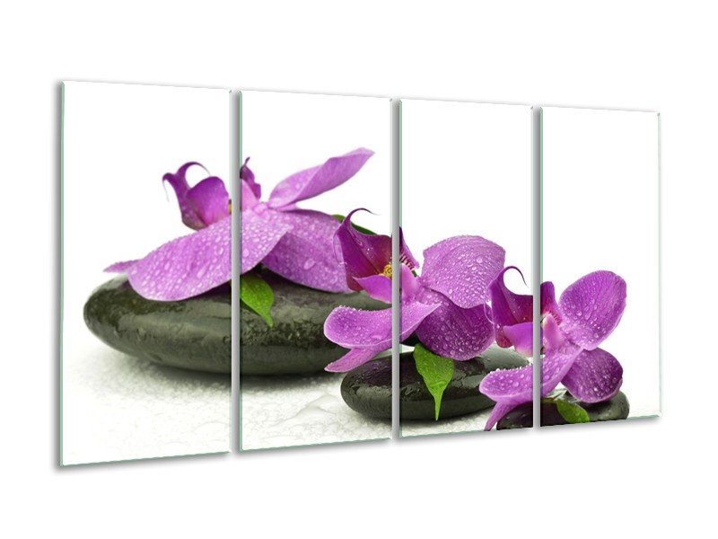 Canvas schilderij Orchidee | Paars, Wit | 160x80cm 4Luik