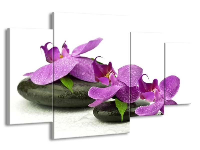 Canvas schilderij Orchidee | Paars, Wit | 160x90cm 4Luik