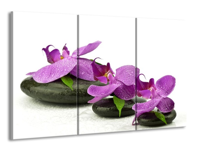 Glas schilderij Orchidee | Paars, Wit | 165x100cm 3Luik