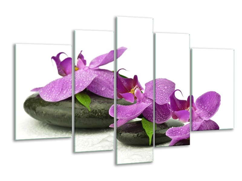 Glas schilderij Orchidee | Paars, Wit | 170x100cm 5Luik