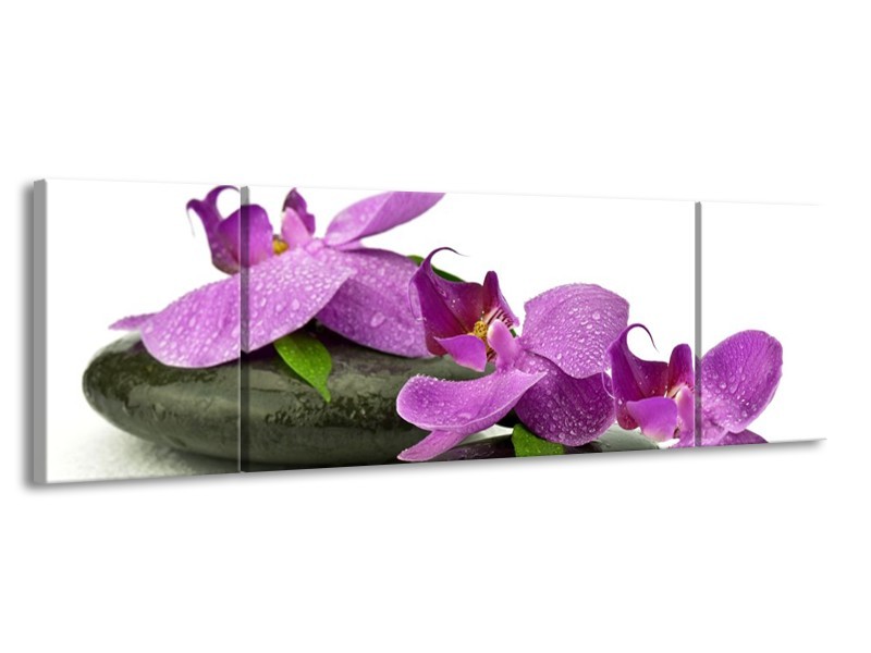 Glas schilderij Orchidee | Paars, Wit | 170x50cm 3Luik