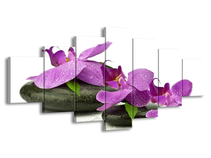 Canvas schilderij Orchidee | Paars, Wit | 210x100cm 7Luik