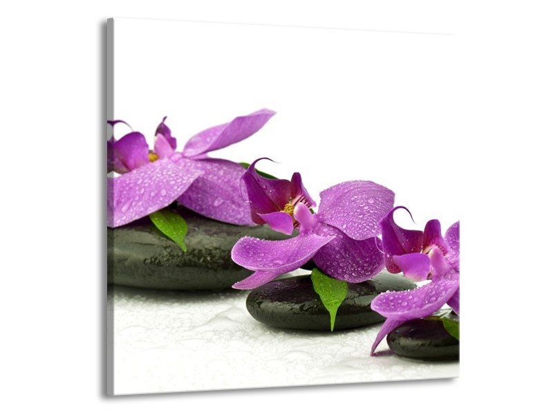 Canvas schilderij Orchidee | Paars, Wit | 50x50cm 1Luik