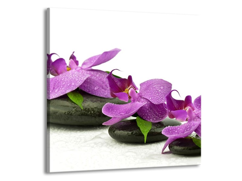 Canvas schilderij Orchidee | Paars, Wit | 70x70cm 1Luik