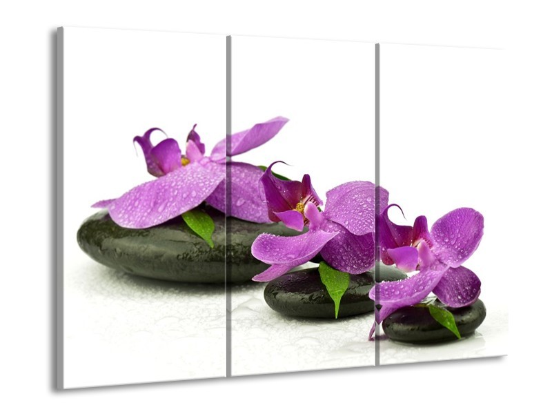 Canvas schilderij Orchidee | Paars, Wit | 90x60cm 3Luik