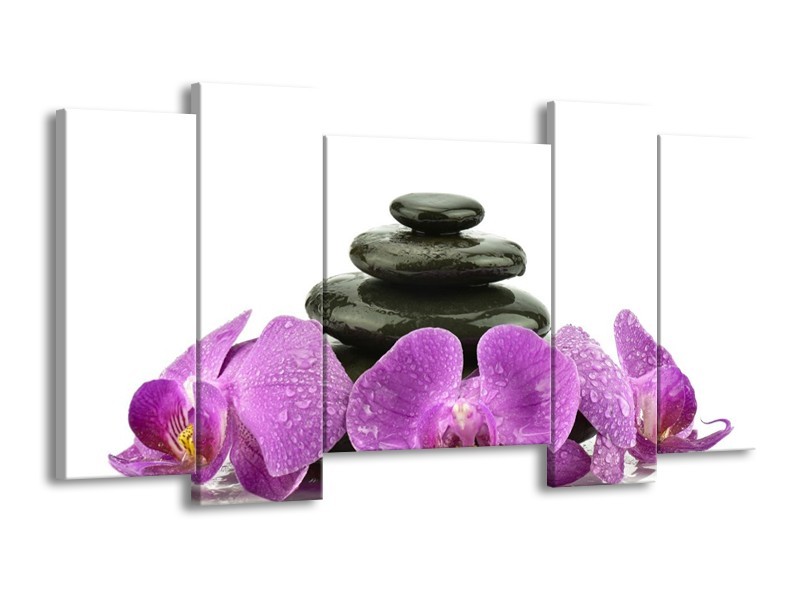 Canvas schilderij Orchidee | Paars, Zwart, Wit | 120x65 5Luik