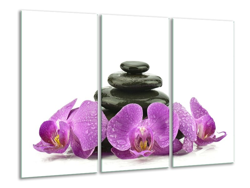 Glas schilderij Orchidee | Paars, Zwart, Wit | 120x80cm 3Luik