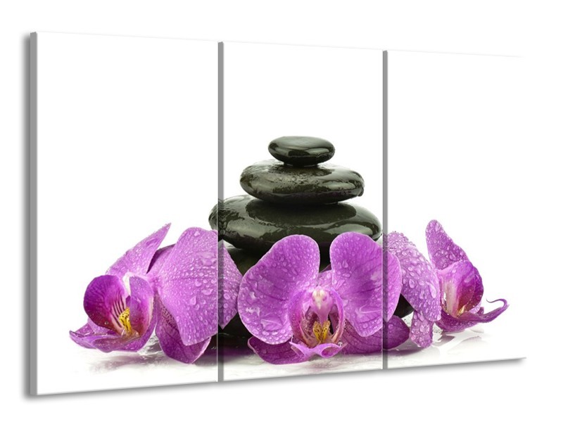 Glas schilderij Orchidee | Paars, Zwart, Wit | 165x100cm 3Luik
