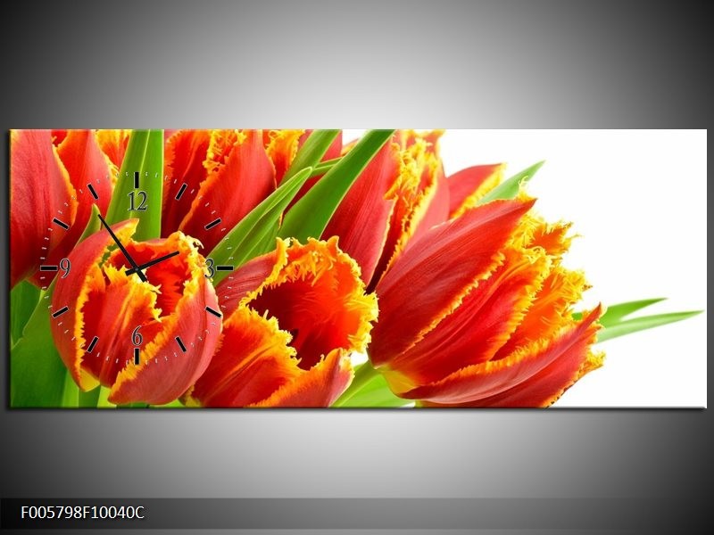 Klok schilderij Tulpen | Oranje, Groen, Wit | 100x40cm 1Luik
