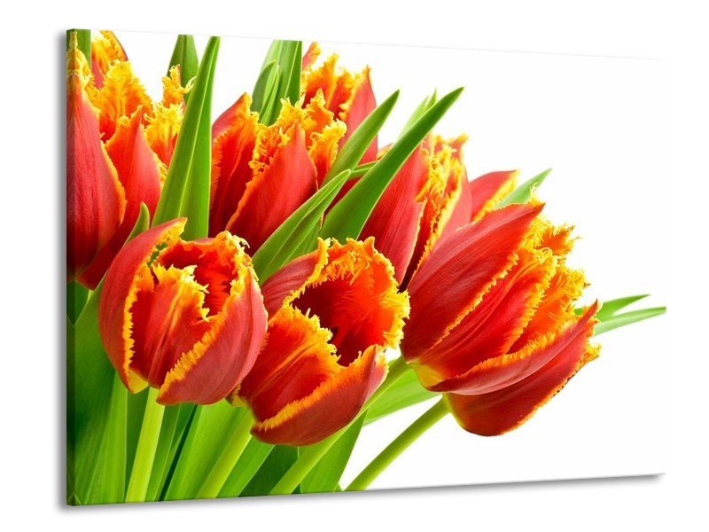 Canvas schilderij Tulpen | Oranje, Groen, Wit | 100x70cm 1Luik