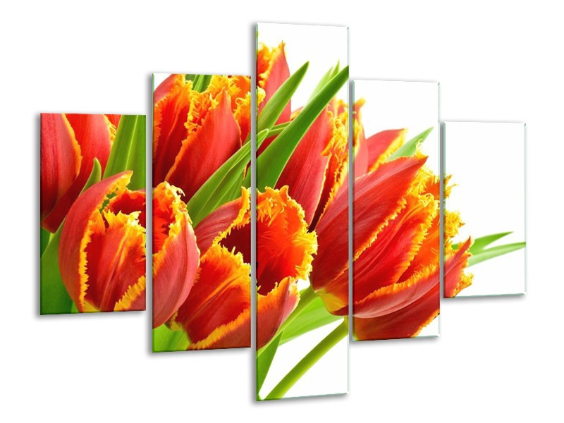 Canvas schilderij Tulpen | Oranje, Groen, Wit | 100x70cm 5Luik