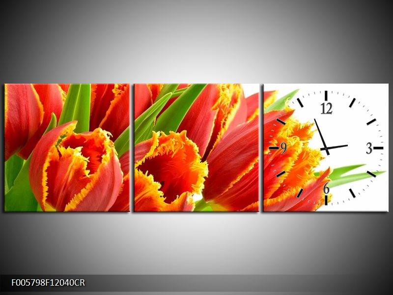 Klok schilderij Tulpen | Oranje, Groen, Wit | 120x40cm 3Luik