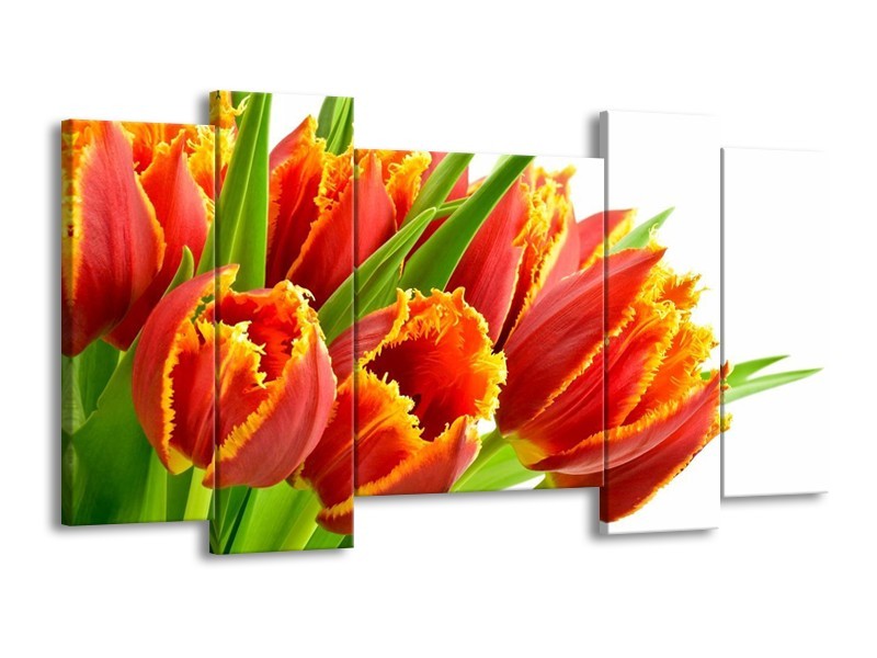Canvas schilderij Tulpen | Oranje, Groen, Wit | 120x65 5Luik