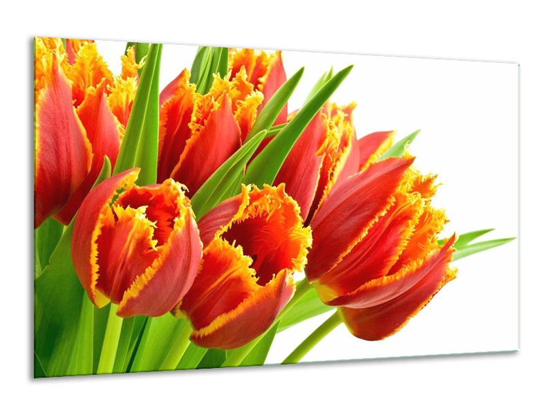 Canvas schilderij Tulpen | Oranje, Groen, Wit | 120x70cm 1Luik