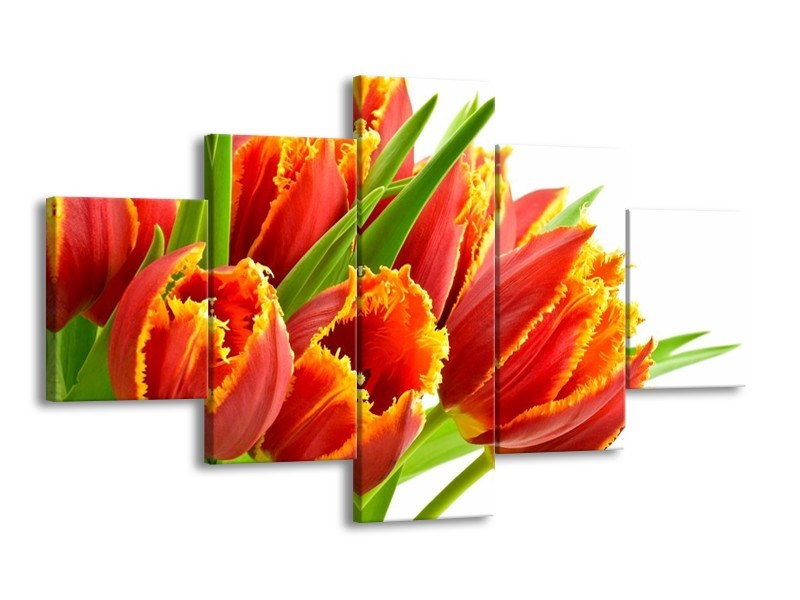 Canvas schilderij Tulpen | Oranje, Groen, Wit | 125x70cm 5Luik