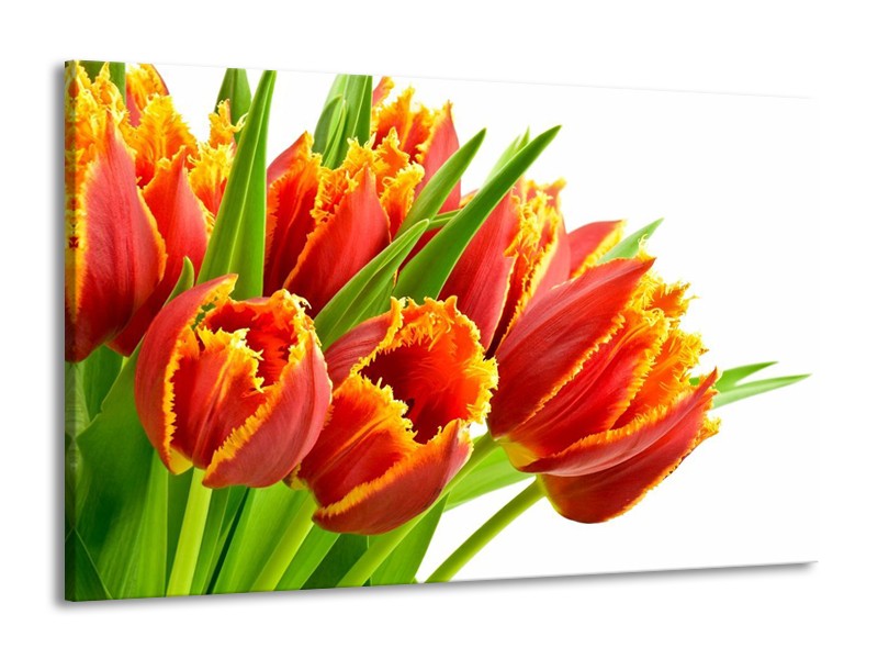 Canvas schilderij Tulpen | Oranje, Groen, Wit | 140x90cm 1Luik