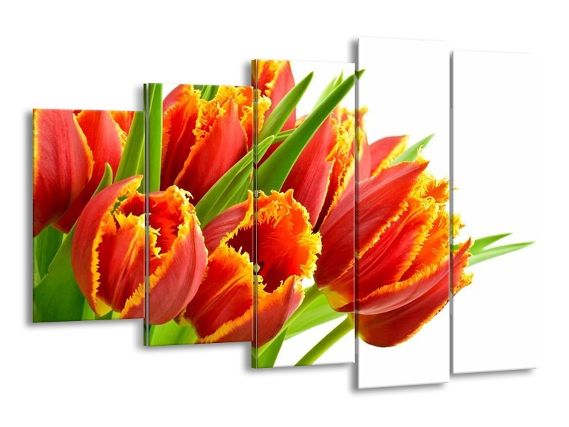 Canvas schilderij Tulpen | Oranje, Groen, Wit | 150x100cm 5Luik