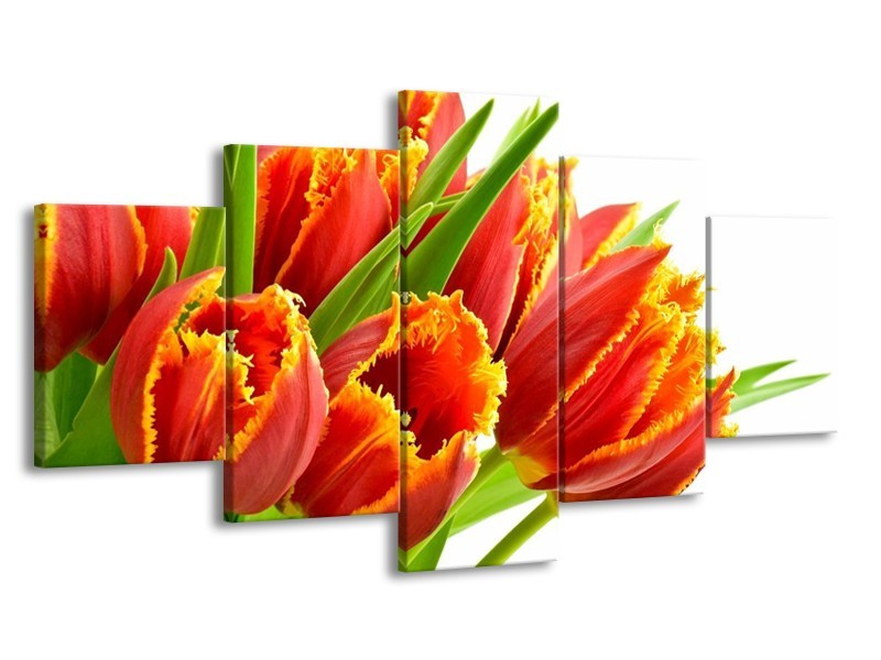 Canvas schilderij Tulpen | Oranje, Groen, Wit | 150x80cm 5Luik