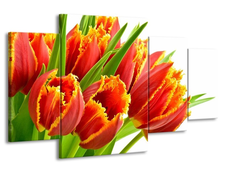 Canvas schilderij Tulpen | Oranje, Groen, Wit | 160x90cm 4Luik