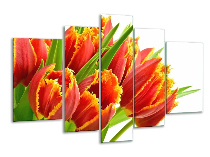 Canvas schilderij Tulpen | Oranje, Groen, Wit | 170x100cm 5Luik