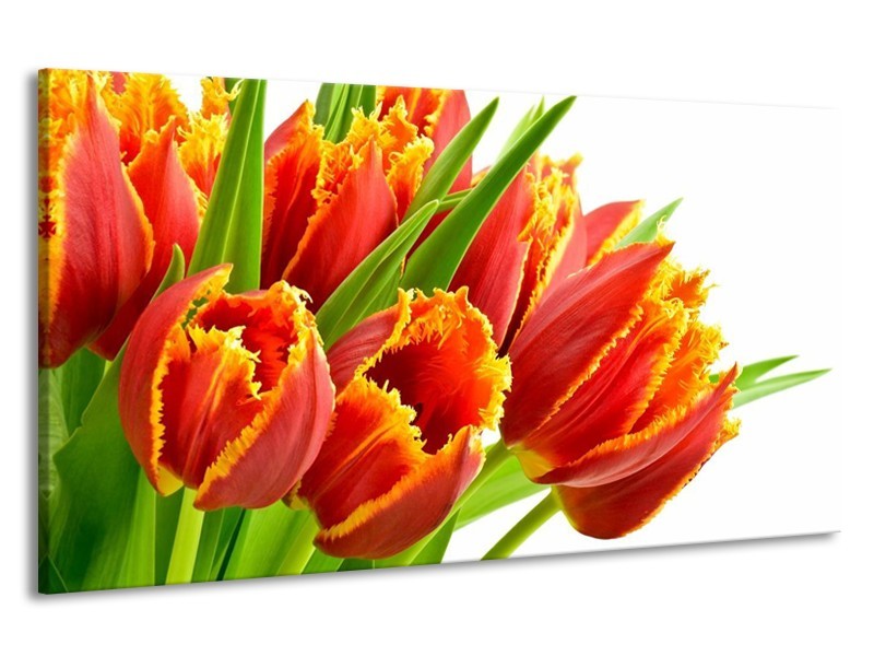 Canvas schilderij Tulpen | Oranje, Groen, Wit | 190x100cm 1Luik