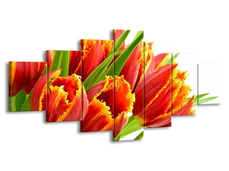 Canvas schilderij Tulpen | Oranje, Groen, Wit | 210x100cm 7Luik