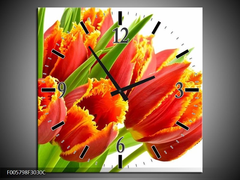 Klok schilderij Tulpen | Oranje, Groen, Wit | 30x30cm 1Luik