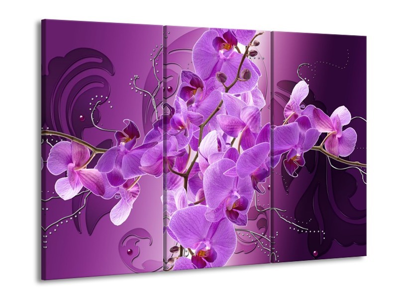 Canvas schilderij Orchidee | Paars | 90x60cm 3Luik