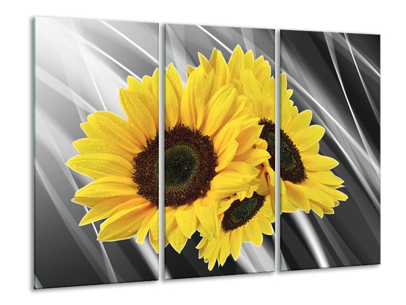 Glas schilderij Zonnebloem | Grijs, Geel, Wit | 120x80cm 3Luik