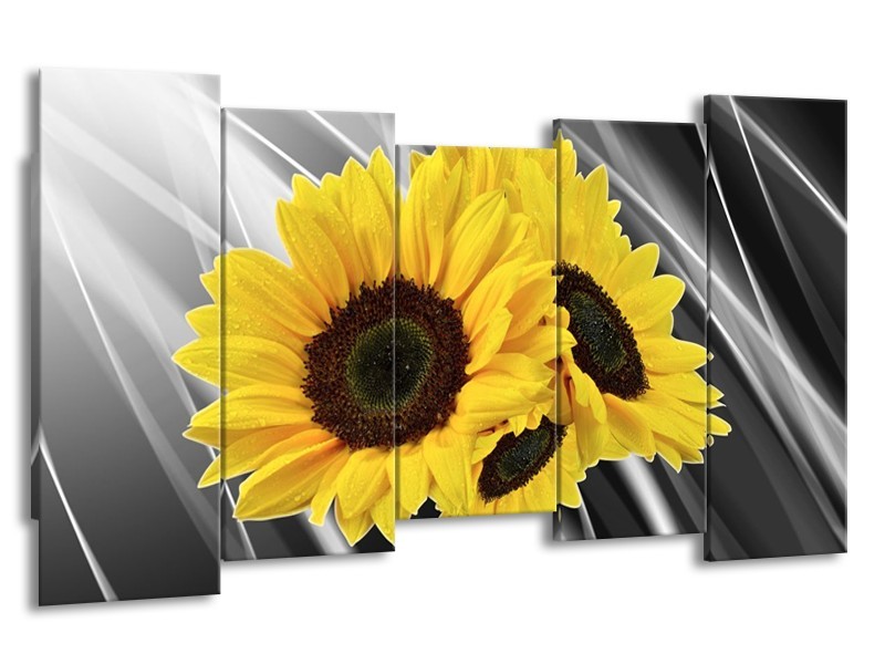 Canvas schilderij Zonnebloem | Grijs, Geel, Wit | 150x80cm 5Luik