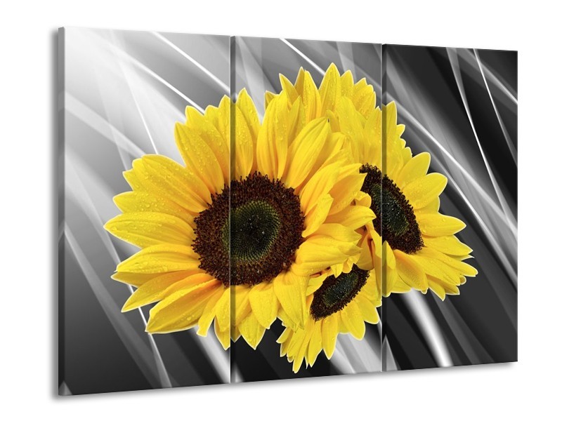 Canvas schilderij Zonnebloem | Grijs, Geel, Wit | 90x60cm 3Luik